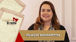 Explica Direito Filiação Socioafetiva  2019 [upl. by Harias481]