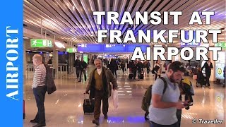 TRANSIT WALK AT FRANKFURT Airport FRA Terminal 1  Connection Flight Transfer Arriving amp Departing [upl. by Yaker]